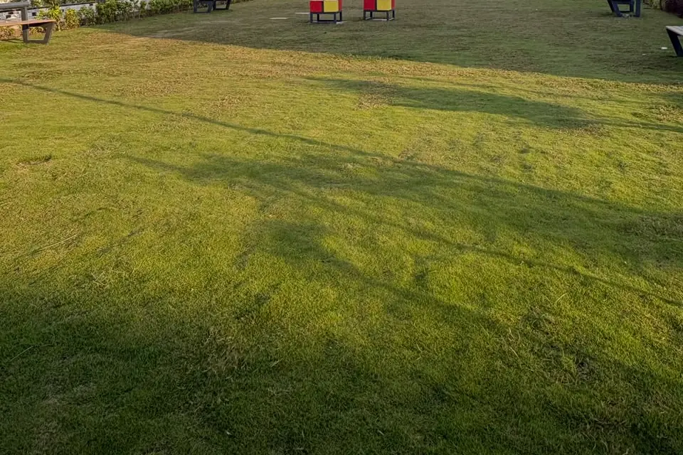 Open lawn with seating — JHM Aura